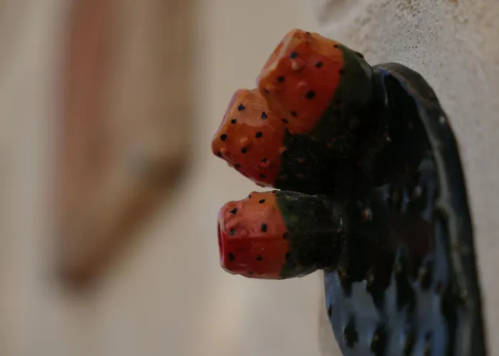 Ca Summa Agriresort 4*