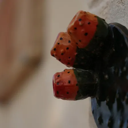 Ca Summa Agriresort 4*